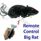 Remote Control Big Rat
